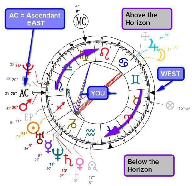 Radix en Astrologia